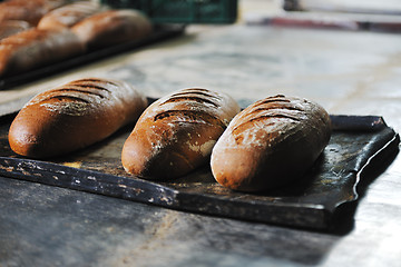 Image showing bread factory production