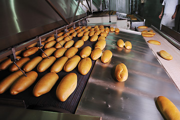 Image showing bread factory production