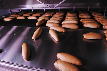 Image showing bread factory production