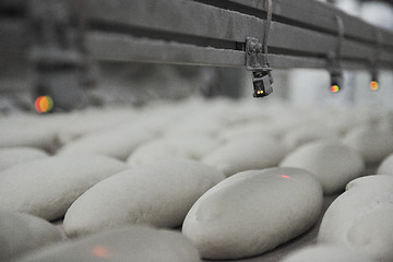 Image showing bread factory production