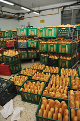 Image showing bread factory production