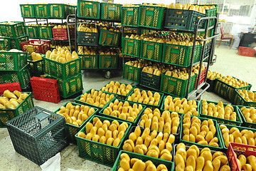 Image showing bread factory production