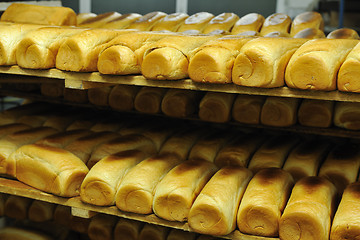 Image showing bread factory production