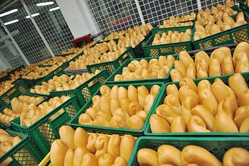 Image showing bread factory production