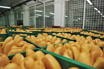 Image showing bread factory production