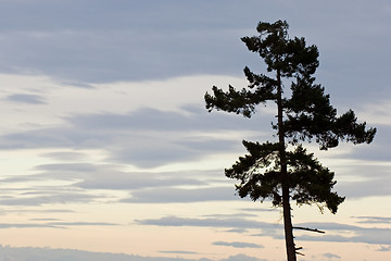 Image showing Pacific Northwest