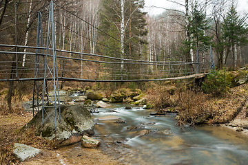 Image showing Cable suspension Bridge over Belokurikha river.