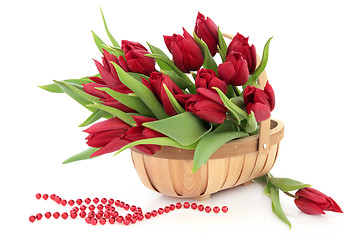 Image showing Red Tulip Flowers