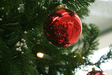 Image showing Red Christmas tree glass ball on green leafs