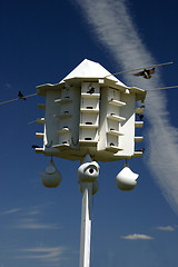 Image showing Purple Martin Birdhouse