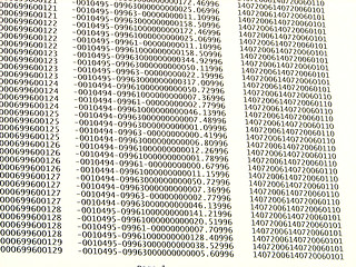 Image showing database concept with printed and coded database records