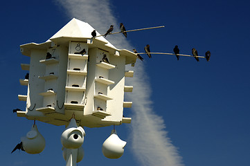 Image showing Purple Martin Bird House