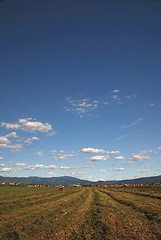 Image showing sunny day and dramatic sky...