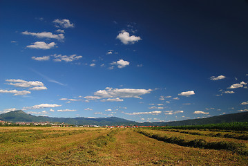 Image showing sunny day and dramatic sky...