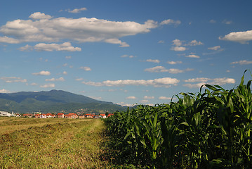 Image showing sunny day and dramatic sky...