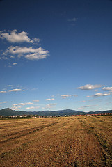 Image showing sunny day and dramatic sky...