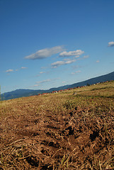 Image showing tractor trail on graund