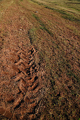 Image showing tractor trail on ground