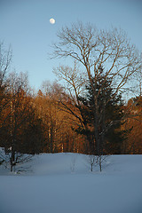 Image showing Wintertime