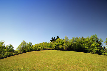 Image showing spring meadow