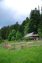 Image showing lonely wooden house in forest