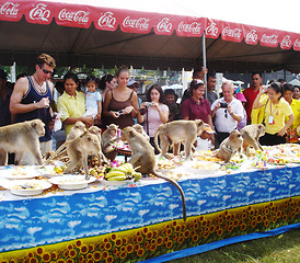 Image showing Monkey festival in Thailand - EDITORIAL