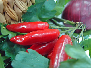 Image showing red hot pepper
