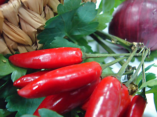 Image showing red hot pepper