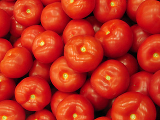 Image showing tomato bacground