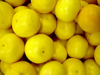 Image showing lemon