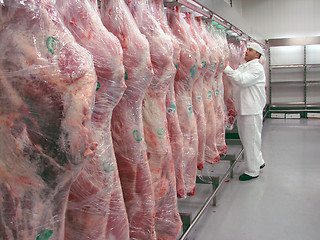 Image showing butcher