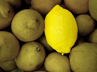 Image showing special lemon