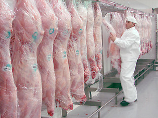Image showing butcher