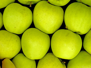 Image showing apples