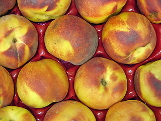 Image showing peaches