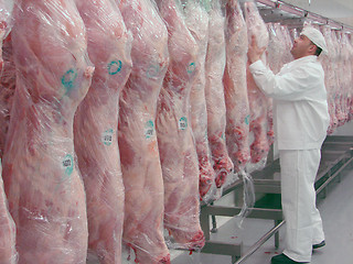 Image showing butcher