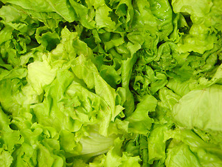 Image showing lettuce background