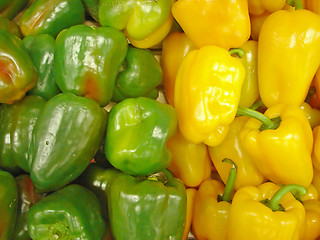 Image showing green and yellow peppers