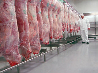 Image showing butcher