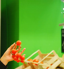 Image showing buying tomato