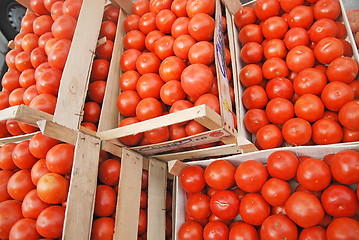 Image showing tomato