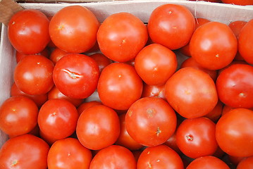 Image showing tomato