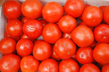 Image showing tomato