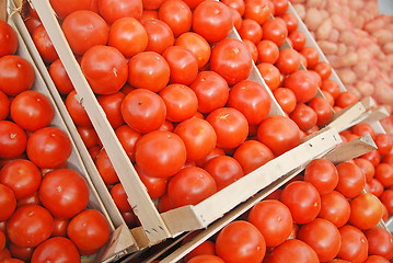 Image showing tomato