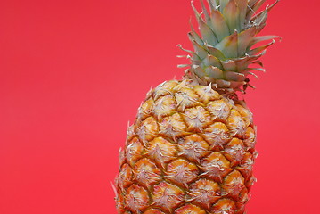 Image showing ananas on red background