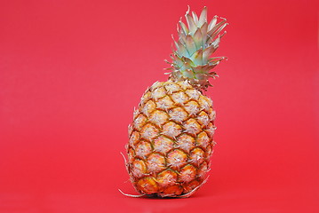 Image showing ananas on red background