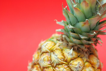 Image showing ananas on red background