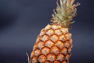 Image showing ananas on black background