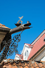 Image showing Ancient drainpipe in the form of a dragon