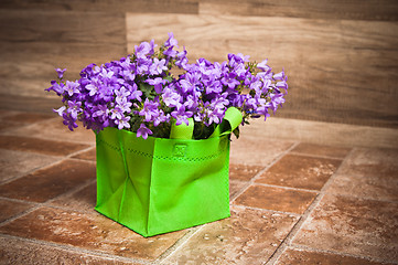 Image showing campanula blue a close up